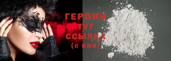гидра Вязьма