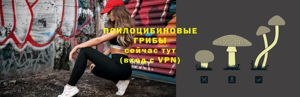 гашик Саяногорск