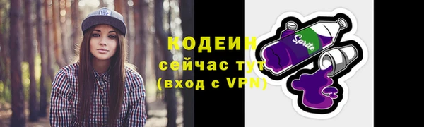 гидра Вязьма