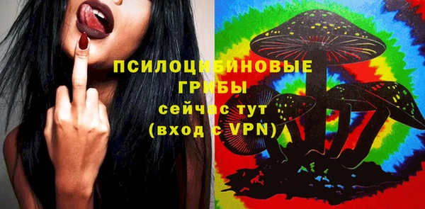 гидра Вязьма
