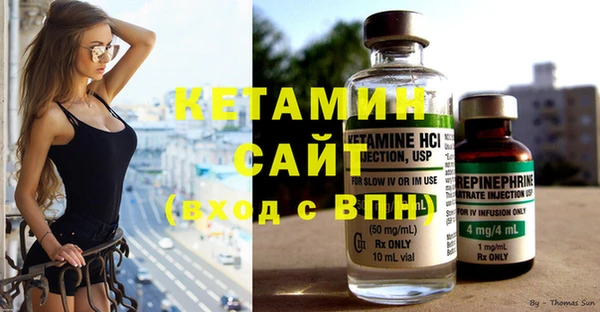 гидра Вязьма