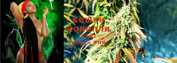 гидра Вязьма