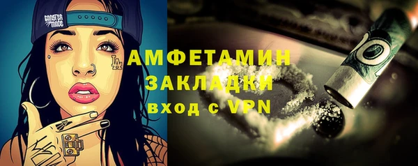гидра Вязьма