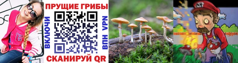 что такое наркотик  блэк спрут ТОР  Псилоцибиновые грибы Psilocybine cubensis  Мариинск 